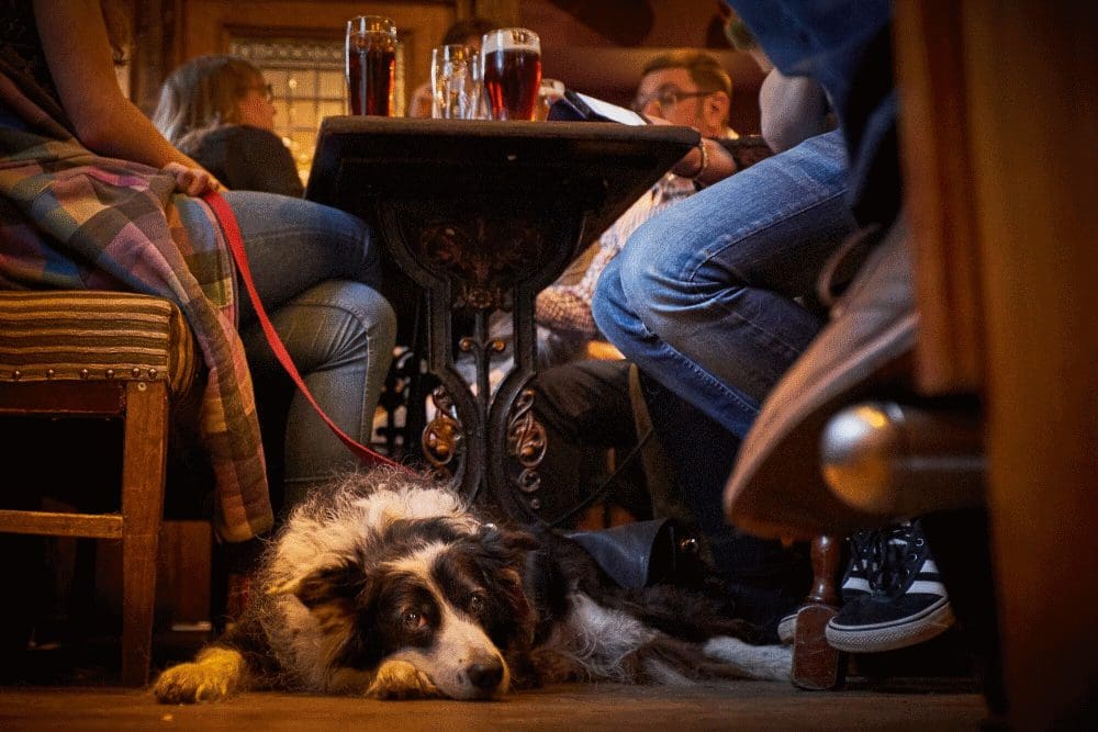 castle bar cockermouth