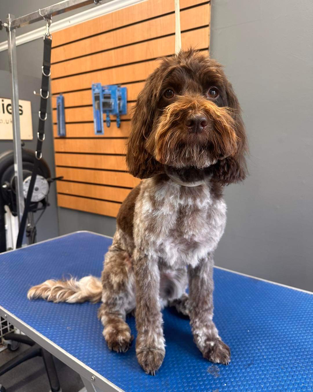 inbound1922065057497614635