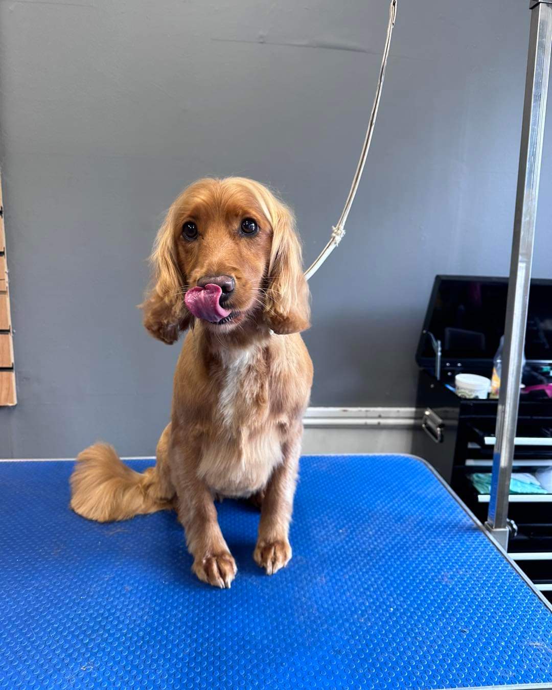 inbound7392120536859802830