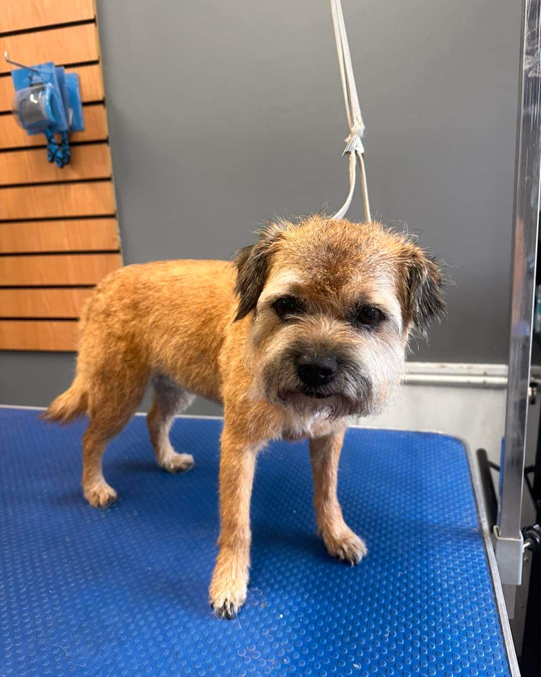 inbound7882068836261389533