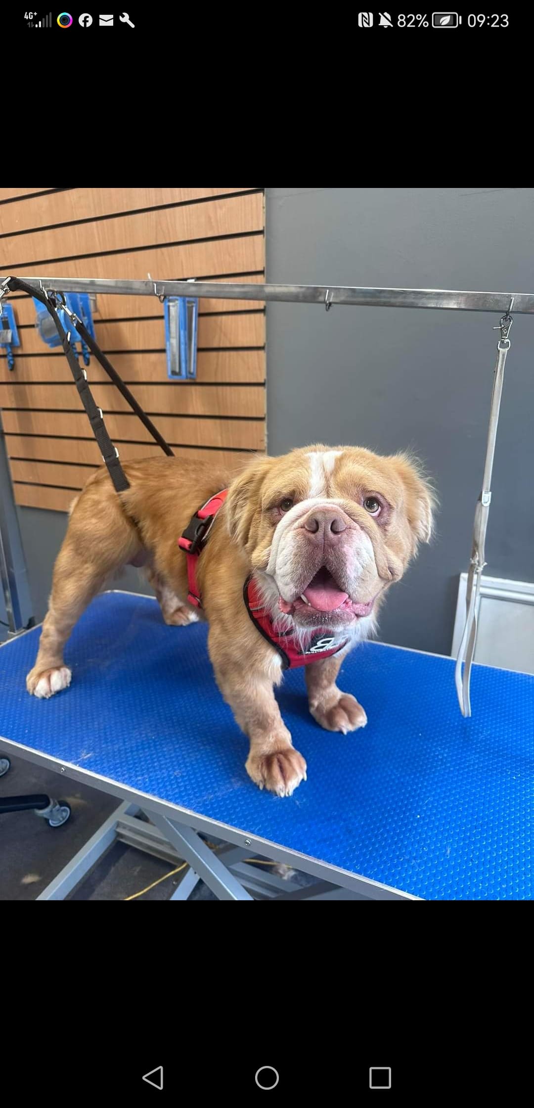 inbound8819124434463519024