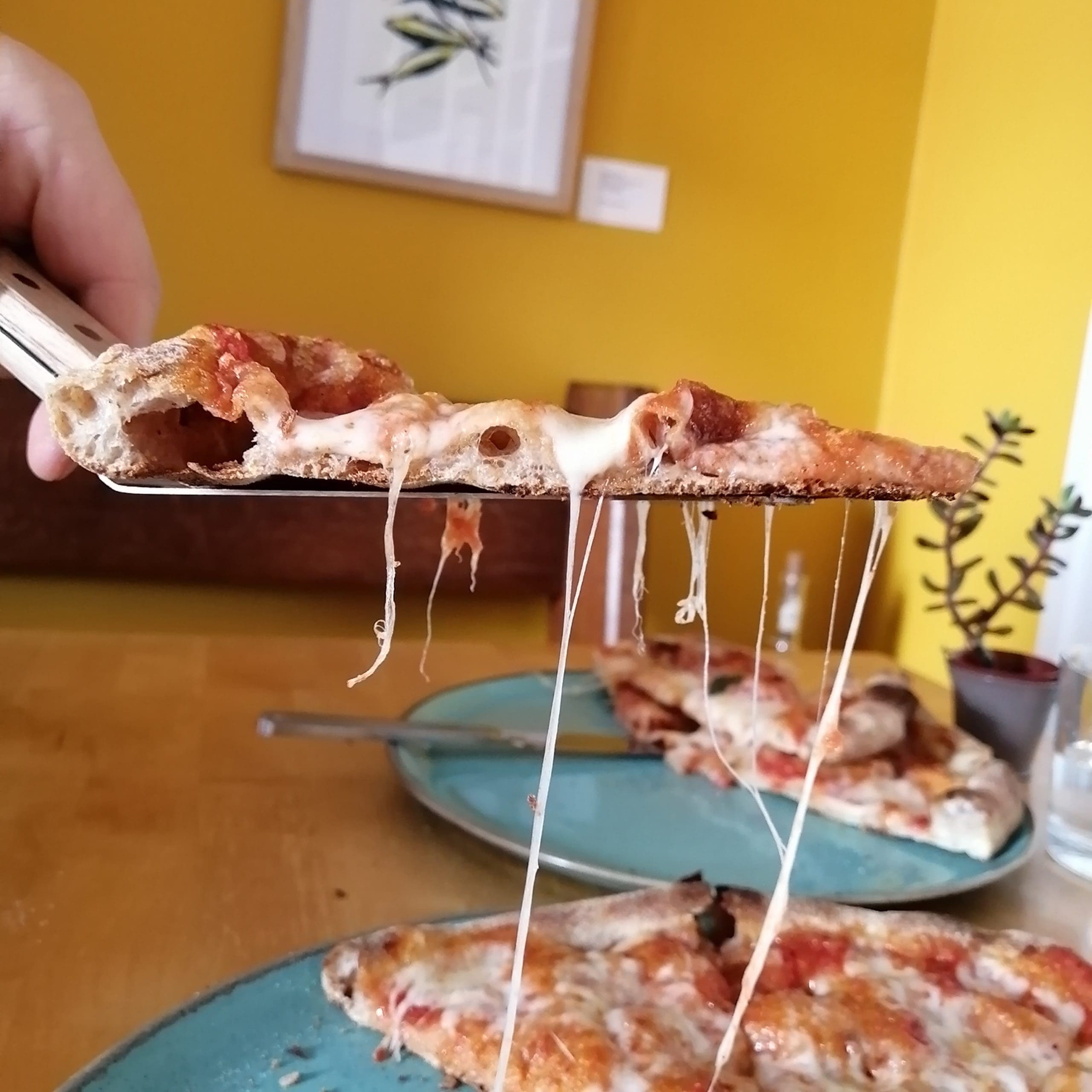 IMG_20211201_132241-8cfe4d43