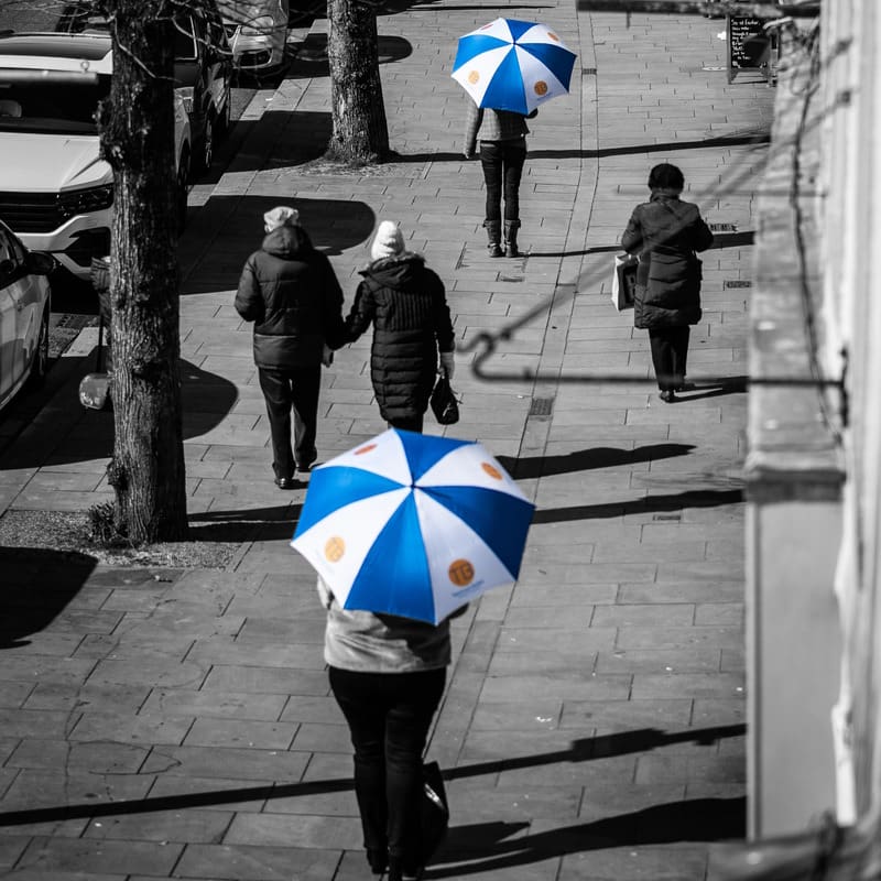 tattersall and bailey